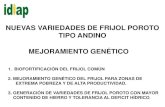 NUEVAS VARIEDADES DE FRIJOL POROTO TIPO ANDINO …arsftfbean.uprm.edu/bean/wp-content/uploads/2017/08/CAC... · 2017-08-11 · nuevas variedades de frijol poroto. tipo andino. mejoramiento