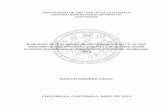Evaluación de ocho niveles de macronutrientes N-P-K, en ...cunori.edu.gt/download/Evaluacion_macronutrientes_N-P-K.pdf · variedades de frijol arbustivo en la aldea Javillal, municipio