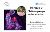Dengue y Chikungunya³n-Taller-emer… · virus chikungunya en las Américas Hospita0 Geneffil] Vall dlHebron Hospital Prosics Institut Català de la Salut Programa de salut internacional
