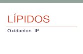 LÍPIDOS - UNAMdepa.fquim.unam.mx/amyd/archivero/2-LIPIDOS-2_31474.pdf · fotosensibilizador para producir 1O 2: • Clorofila-a, • Feofitina-a, • Hemoglobina. • Mecanismo alterno