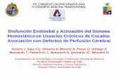 Disfunción Endotelial y Activación del Sistema …Disfunción Endotelial y Activación del Sistema Hemostático en Usuarios Crónicos de Cocaína: Asociación con Defectos de Perfusión