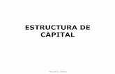 Estructura de capital - MARCELO DELFINOmarcelodelfino.net/files/Capstru.pdf · Marcelo A. Delfino Efectos del apalancamiento interno ($) Estructura de capital Recesivo Esperado Expansivo