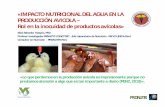«IMPACTO NUTRICIONAL DEL AGUA EN LA PRODUCCIÓN … · Cuando los polluelos salen del cascarón, tienen un intestino inmaduro y la producción de ácidos en el proventrículo y la