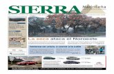 P.01 (Page 1)2009/11/20  · la costa de Levante llevan ya tres sábados: Diario Publico + Mundo Deportivo + DVD Barça. Cuatro productos a precio de 1,50 € Todo muy bien, perfecto