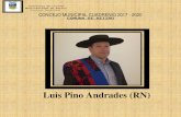 Luis Pino Andrades (RN) · Provincia de Linares Municipalidad de Retiro Consejo Municipal COMUNA DE RETIRO . Luis Pino Andrades (RN) CONCEJO MUNICIPAL CUADRENIO 2017 - 2020