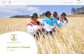Siembra Cebada - cervecerianacional.ec · Siembra Cebada es un programa de apoyo integral para promover el cultivo de cebada en la sierra ecuatoriana, entregando semilla, e insumos