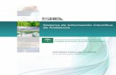 Sistema de Información Científica de Andalucíaserviciopdi.ugr.es/funcionario/concursosacceso/...2017/07/03  · 19/03/2013 ANTONIO PASCUAL ACOSTA 2 / 38 Informe de investigador