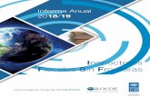 Informe Anual 2018 19 - UNDP · 2020-04-02 · Informe Anual 2018/19 OCDE/PNUD 2019 3 Índice Resumen ejecutivo 5 Siglas 7 Glosario 8 1 Contextualización de IFSF 9 2 Metas, tendencias