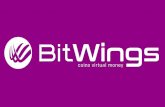 BitWings es la primera criptomoneda de refugio · criptomonedas alternativas tienen una tendencia vinculada a informaciónes futuras que a menudo no se pueden comprobar. El propósito
