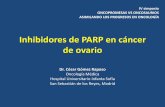 Inhibidores de PARP en cáncer de ovario · 2019-07-03 · - combinaciones sin quimioterapia iPARP en monoterapia: SOLO 3 iPARP + Antiangiogénicos - Olaparib + Cediranib - ANANOVA: