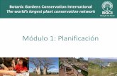 Módulo 1: Planificación - BGCI · PDF file Después puedes empezar el Módulo 2 (Evaluación de la Población) Our Mission is to mobilise botanic gardens and engage partners in securing