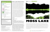 Octubre de 2016 MOSS lake - King County, Washington · vencejo de Vaux, el ratonero de cola roja, el pájaro carpintero norteamericano, la paloma de collar, el sapo occidental y el