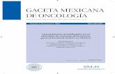 Lineamientos actualizados en el abordaje de tumores del ... V7 No 1... · Gamo Vol. 7 Núm. 1, Ene-Feb 2008 GACETA MEXICANA DE ONCOLOGíA (GAMO) Publicación oficial de la Sociedad