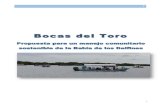 Bocas del Toro-propuestaNov52014 - Laura J May-Collado, Ph.D. · población de delfines del Archipiélago de Bocas del Toro por 10 años (2044-2014). Durante este tiempo el grupo