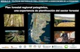 Plan forestal regional patagónico, una experiencia de ... · Plan Forestal Patagónico Como punto de partida de esta Visión Compartida, los referentes de las cinco Provincias Patagónicas