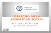 DERECHO DE LA SEGURIDAD SOCIAL - UC3Mocw.uc3m.es/derecho-social-e-internacional-privado/... · 2016-11-24 · 2. Conductores vehículos de turismo al servicio de particulares 3. Personal