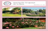 Asociación Uruguaya de la Rosa Web2015.pdf · 2015-05-25 · ASOCIACIÓN URUGUAYA DE LA ROSA - 3 INFORME DEL PRESIDENTE 2014 PRESIDENT´S REPORT 2014 Rosario Enriquez de Fazzio Presidente