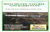 MONUMENTO NATURAL LOS BARRUECOS - Extremaduraextremambiente.juntaex.es/pdf/FICHASDIDACTICASBARRUECOS.pdf · Hola a todos, soy el señor Buitre Negro, quizás por mi nombre sabrás