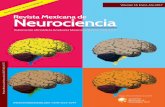 Revista Mexicana de Neurocienciaprevious.revmexneurociencia.com/wp-content/uploads/... · MAV de marzo 2010 a marzo 2013 en el departamento de neurocirugía del Hospital Juárez de