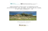 PROSPECCIÓ DE VARIETATS ANTIGUES AL PARC NATURAL DEL … · Prospecció de varietats antigues al Parc Natural del Cap de Creus - II 8 Taula 1. Entrades recollides i varietats més
