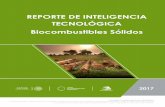 REPORTE DE INTELIGENCIA TECNOLÓGICA Biocombustibles … · 2019-05-14 · El reporte de inteligencia tecnológica se efectuó siguiendo las etapas generales que se muestran en la