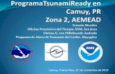 Ernesto Morales Oficina Pronóstico del Tiempo, SNM, San ...redsismica.uprm.edu/Spanish/tsunami/mapa/info/... · Municipio (CERT, KP4's, radio dispatchers, empleados municipales,