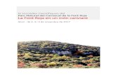 Alcoi - Ibi 3, 4 i 5 de novembre de 2017 - ua · del Parque Natural del Carrascal de la Font Roja. 16.00 – 16.30 h Descans 16.30 – 17.15 h Presentacions curtes Mar Salas, Delfina
