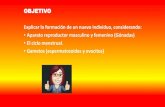 Presentación de PowerPoint°-B... · APARATO REPRODUCTOR FEMENINO El aparato reproductor femenino se compone de las siguientes estructuras. Es el encargado de albergar la nueva vida.