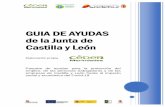 GUIA DE AYUDAS de la Junta de Castilla y León · AYUDAS Y SUBVENCIONES PARA LAS ADMINISTRACIONES PÚBLICAS 22. Subvención, cofinanciada por el Fondo Social Europeo, dirigida a entidades