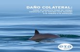 EIA Vaquita Totoaba Oceans report 0816 Spanish EIA report 0208 · 2016-09-28 · Conocida como "vaquita marina" o marsopa del puerto del Golfo de California, la vaquita tiene el rango