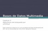 Bases de Datos Multimedia - Universidad de Chilejsaavedr/files/TEBD/TEBD(3_1).pdf · Bases de Datos Multimedia Capítulo 3 Algoritmos de búsqueda por similitud Este material se basa