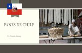 PANES DE CHILE - INDUSTRIAS ALIMENTARIAS FPindustrialimentariafp.com/wp-content/uploads/2019/04/Panes-De-CH… · PANES DE CHILE Por Claudia Álvarez. Consumo de pan en chile Alemania