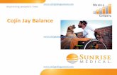 Cojín Jay Balance€¦ · Introducción Definición de Producto e Indicaciones: El cojín Jay Balance ofrece alta protección de la piel con excelente estabilidad