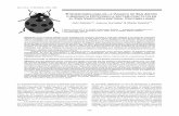 ETNOENTOMOLOGÍA DE LA VAQUITA DE SAN ANTÓN O …sea-entomologia.org/aracnet/12/05EE2.pdf · 253 Bol. S.E.A., nº 33 (2003) : 253 – 269. ETNOENTOMOLOGÍA DE LA VAQUITA DE SAN ANTÓN