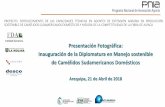 Presentación de PowerPointdescosur.org.pe/wp-content/uploads/2018/09/... · INCA TOPS S.A. Dr. Alberto Membrillo del Pozo Departamento de Genética. Universidad de Córdoba –España
