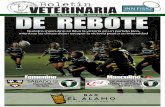 Con esta victoria Veterinaria se sitúa tercera en la ...rugbyveterinaria.com/wordpress/wp-content/uploads/2016/11/Boletin_6.pdf2 Gran partido el vivido este domingo 6 de Noviembre