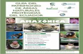 región amazónICa - PARKS AND TRIBES · Viii. parque el cóndor 1X. reserVa biológica el quimi X. refugio de Vida silVestre el zarza. N UBICACIÓN GEOGRÁFICA DE LA REGIÓN AMAZÓNICA