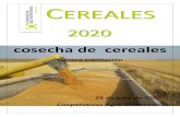cosecha de cerealesestimacion 2020 29/07/2020 superficie Rto. producción superficie Rto. producción superficie Rto. producción superficie Rto. producción 2020 2020 2020 2020 2020
