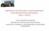 CARCINOMATOSIS PERITONEAL: ABORDAJE NUTRICONAL ...seminarioabrahamgarciaalmansa.com/programas/Seminario_2019_L… · Índice 1. Carcinomatosis peritoneal y EMP 2. CRS + HIPEC –