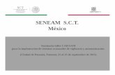 SENEAM S.C.T. México · 2015-09-15 · ICD, Clase 1 (CPL/LAM), para coordinaciones automatizadas entre Centros de Control, vía red AFTN. 3.-Los Sistemas Automatizados de Procesamiento
