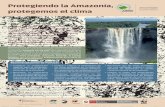 Protegiendo la Amazonía,d2ouvy59p0dg6k.cloudfront.net/downloads/... · desarrollo climáticamente resiliente y promover en el futuro condiciones climáticas más seguras. La Amazonía