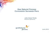Gas Natural Fenosa Concesión Suroeste Perú · Quiénes somos . 3 Gas Natural Fenosa cumple 170 años • Gas Natural Fenosa es la mayor compañía ... Repsol Butano). 1992 Inicio