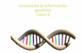 Lectura de la información genética Clase 9 · 2020-04-28 · Clase 9. Elongación 5. Un segundo ARNt se ubica en el sitio A y su anticodón se acopla conelARNm. 6. La enzima peptidil-