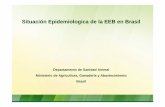 Situación Epidemiologica de la EEB en Brasil...El prion de la EEB encontrado en Brasil • Investigación • SVO recolecto muestras de tejido nervioso para diagnóstico de la rabia