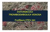 ENFERMEDAD TROMBOEMBOLICA VENOSA Profilaxis ETEV-AH · 2012-09-22 · Embolia Pulmonar Causa más común de muerte prevenible • 10% de las muertes hospitalarias son por EP 1,2 •