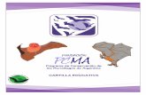 MURCIÉLAGOS · 2 ¿Quiénes somos? El PCMA es una fundación integrada por investigadores, estudiantes y miembros de la comunidad, interesados en conocer y conservar a los murciélagos