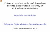 Presentación de PowerPoint - COLPOS Colpos Economia Maiz_riego S... · 2013-12-23 · del agua dulce. Title: Presentación de PowerPoint Author: Antonio Turrent F Created Date: 12/23/2013