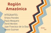 Región Amazónica · 2014-04-11 · Relieve La región amazonas abarca gran parte del territorio colombiano alrededor del 40%. Su territorio: es llano, selvático,conocido como piedemonte