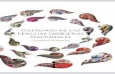 índice - Instituto Nacional de Lenguas Indígenas · 2019-04-16 · Uno de los objetivos estratégicos del inali establecidos por la lgdlpi en su artículo 20 es la elaboración
