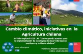 Cambio climático, iniciativas en la Agricultura chilenaledslac.org/wp-content/uploads/2015/08/angelina... · IV Taller regional LEDS LAC “Construyendo puentes para ... al CC, usando